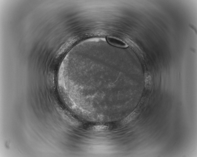 X0000102520158200808291805