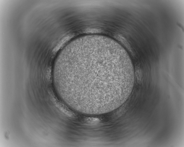 X0000102520159200808291805