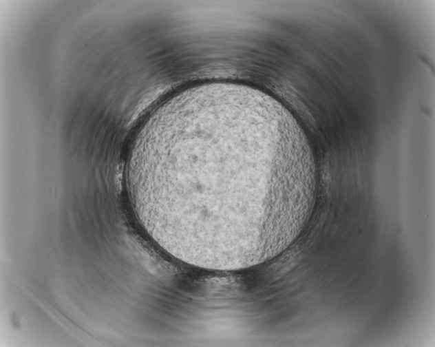 X0000102520160200808291805