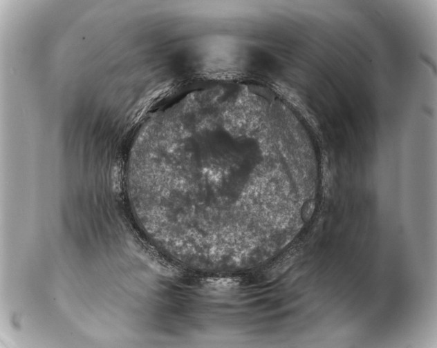 X0000102520161200808291805