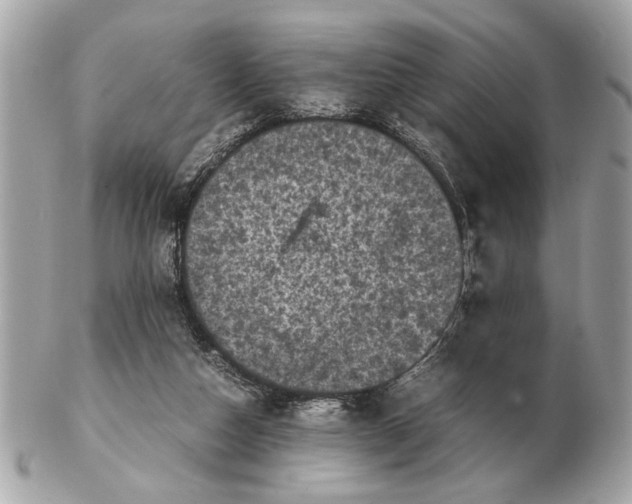 X0000102520162200808291805