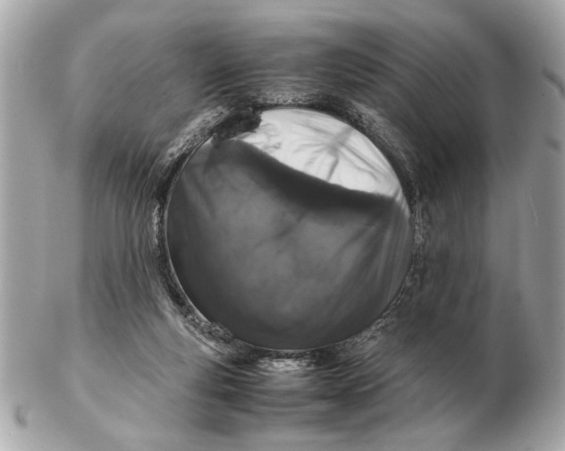 X0000102520163200808291805