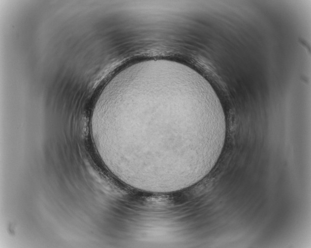 X0000102520164200808291805