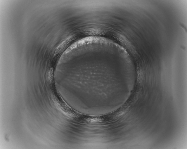 X0000102520165200808291805