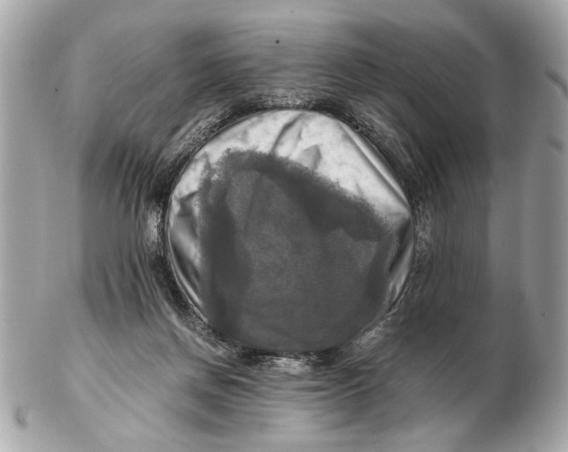 X0000102520166200808291805