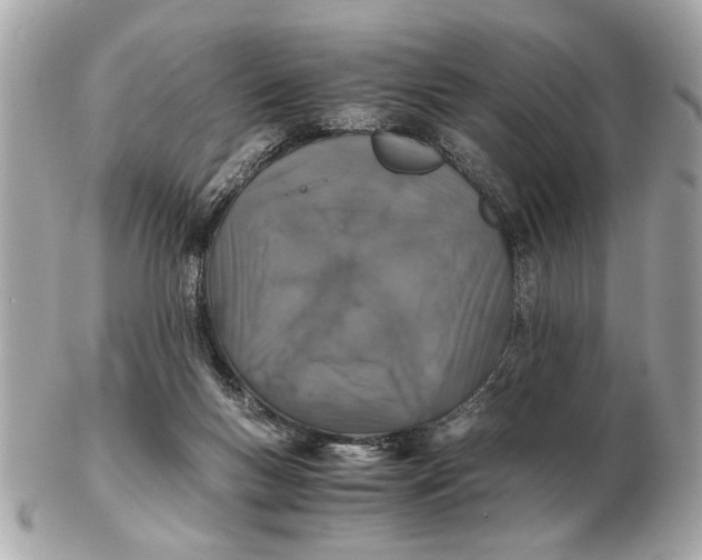 X0000102520167200808291805