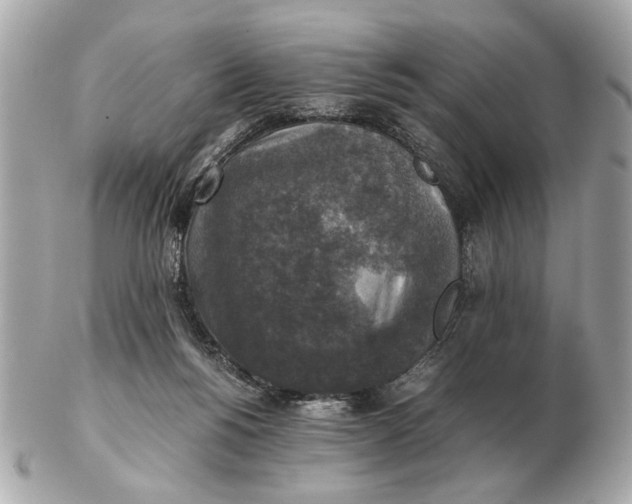 X0000102520168200808291805