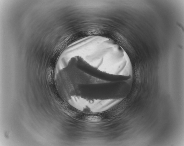 X0000102520169200808291805