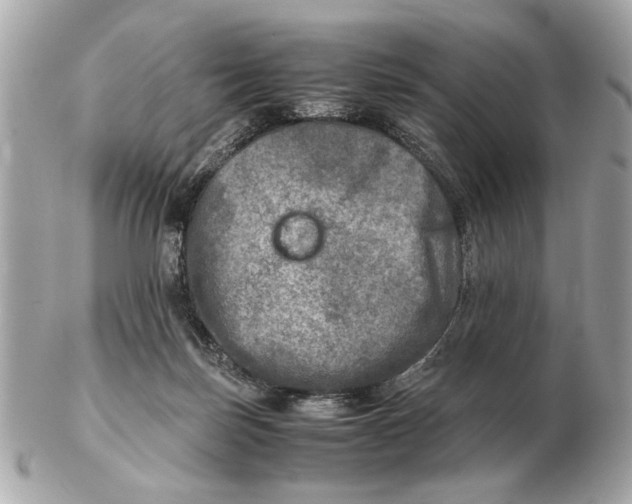 X0000102520171200808291805