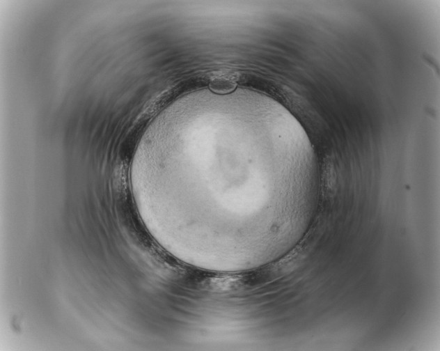 X0000102520172200808291805