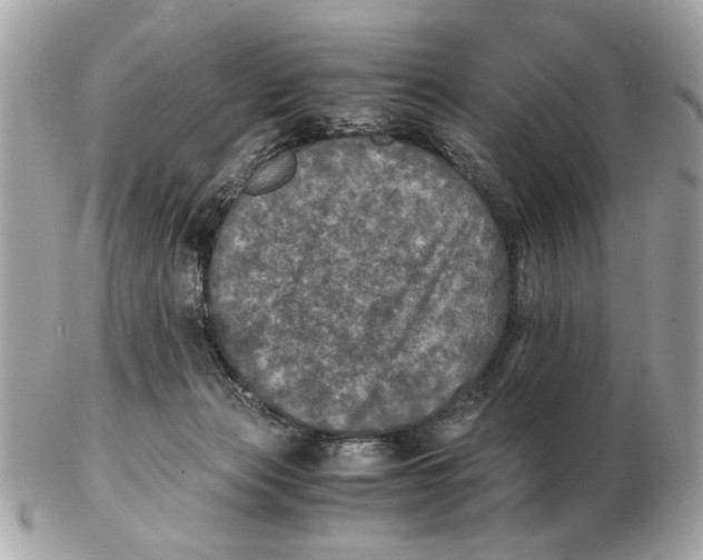 X0000102520173200808291805