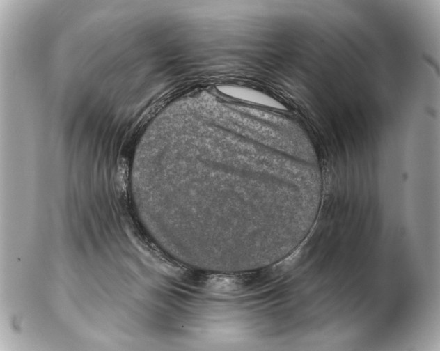 X0000102520174200808291805