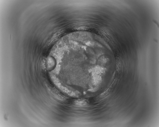 X0000102520175200808291805