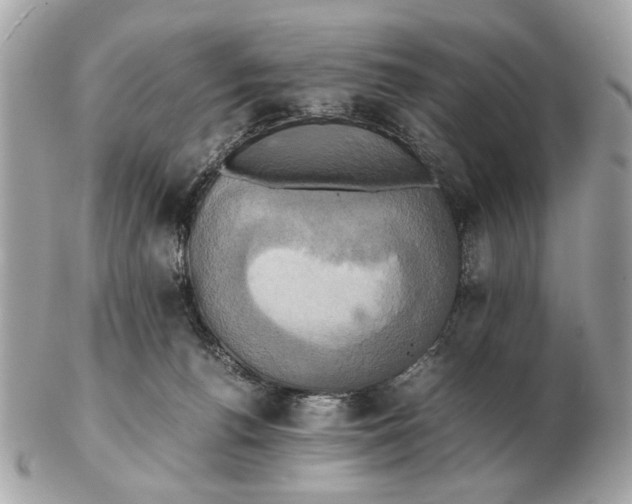 X0000102520176200808291805