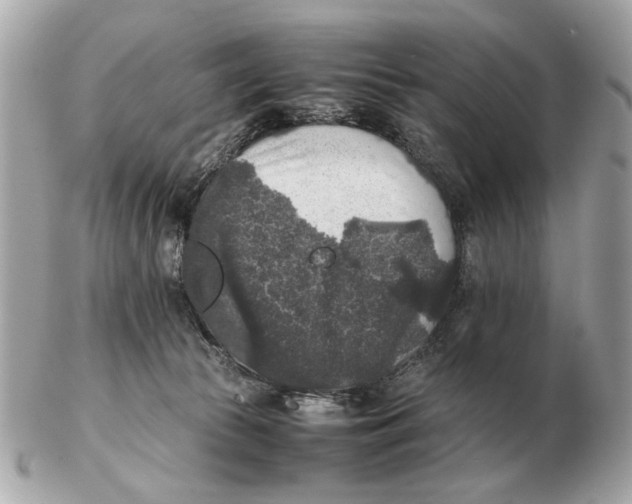 X0000102520177200808291805