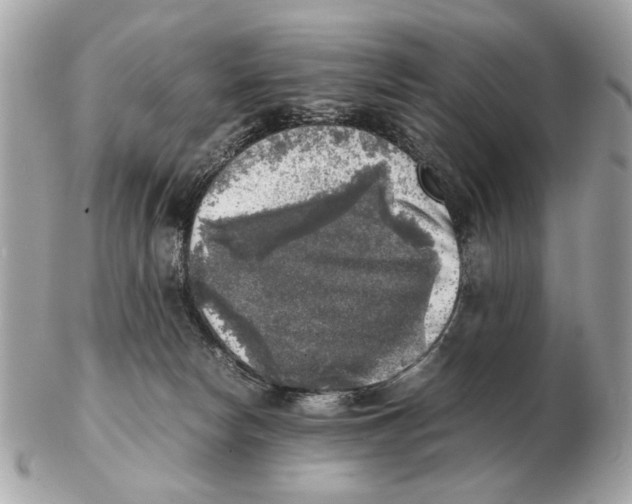 X0000102520178200808291805