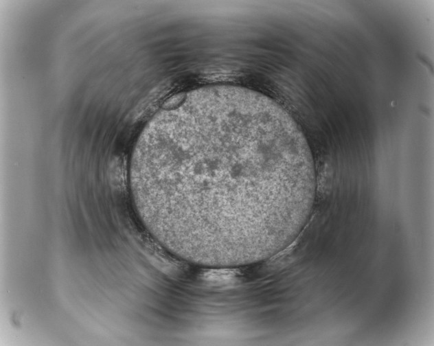 X0000102520179200808291805