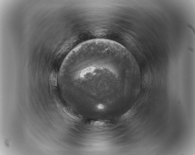 X0000102520180200808291805