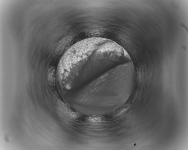 X0000102520181200808291805