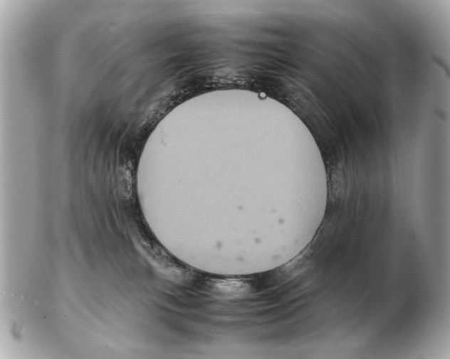 X0000102520183200808291805