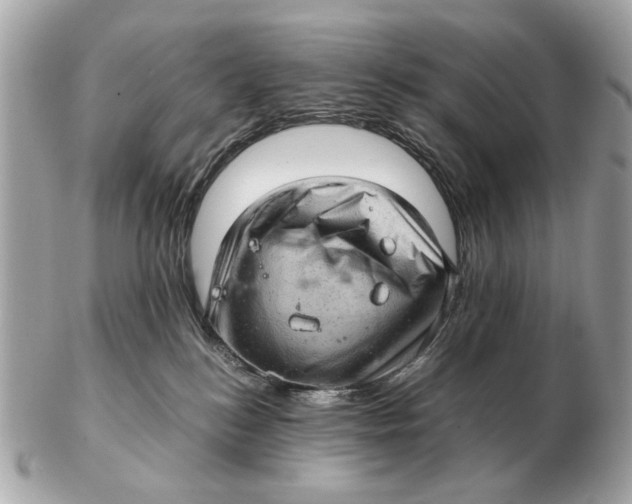 X0000102520184200808291805