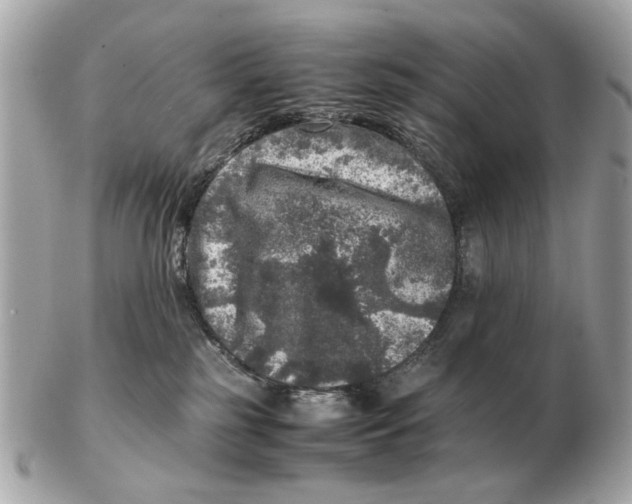 X0000102520185200808291805