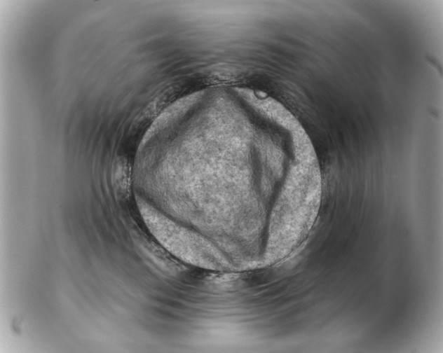 X0000102520186200808291805