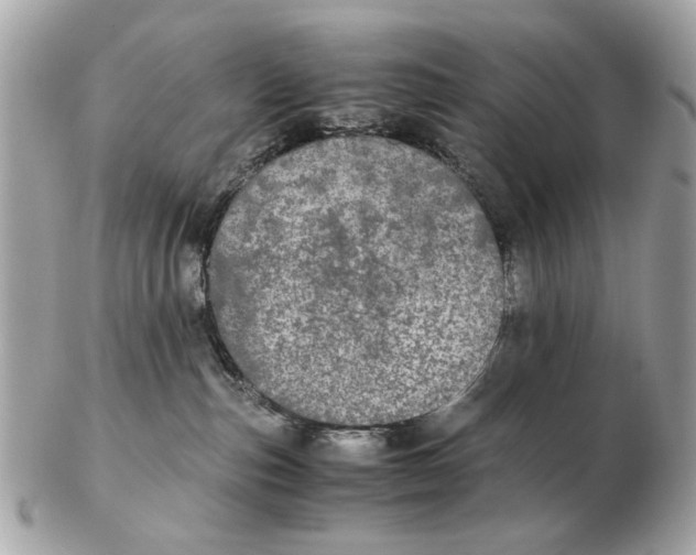 X0000102520187200808291805