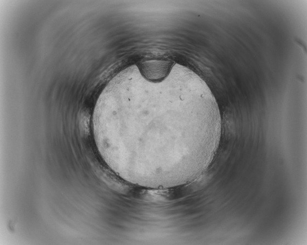 X0000102520188200808291805