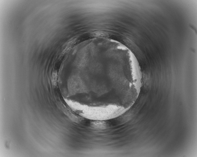 X0000102520189200808291805