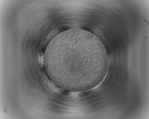 X0000102520190200808291805