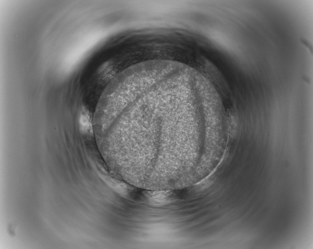 X0000102520191200808291805