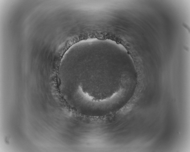 X0000102520192200808291805