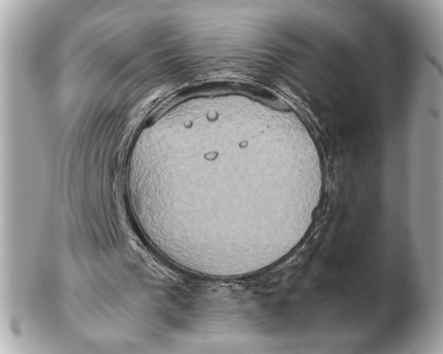 X0000102520193200808291805