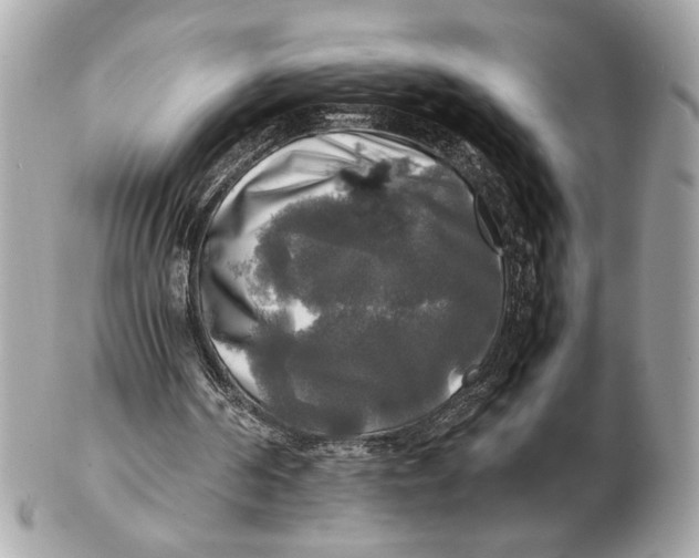 X0000102520194200808291805