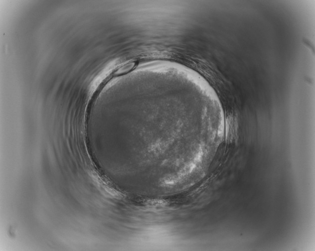 X0000102520195200808291805