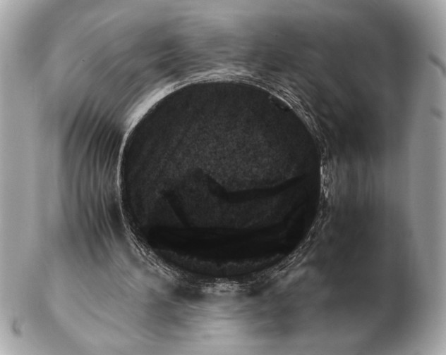 X0000102520196200808291805