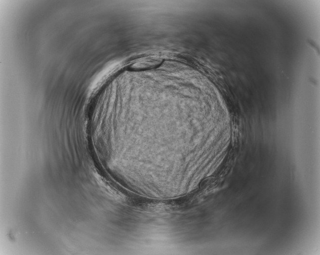 X0000102520197200808291805