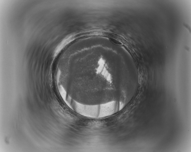 X0000102520198200808291805