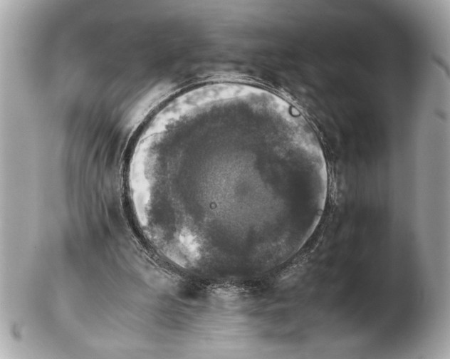 X0000102520199200808291804