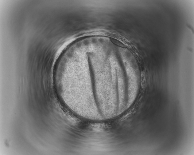 X0000102520200200808291804