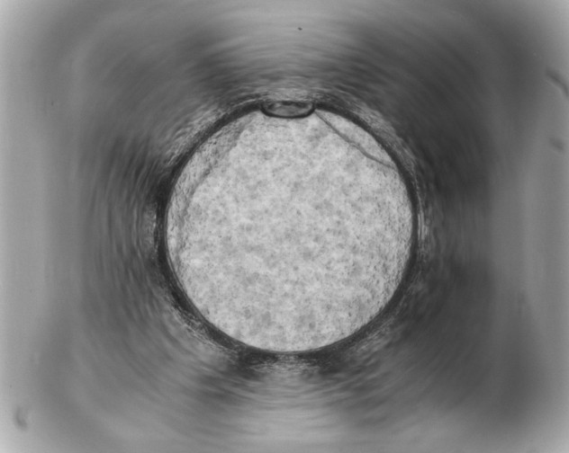 X0000102520201200808291804