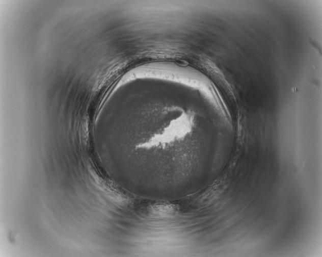 X0000102520202200808291804