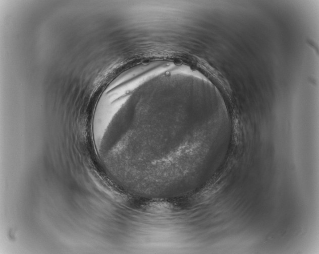 X0000102520203200808291804