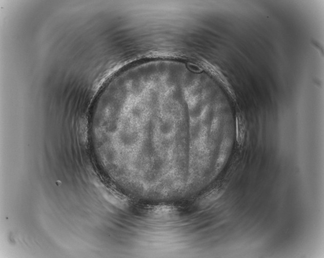 X0000102520204200808291804