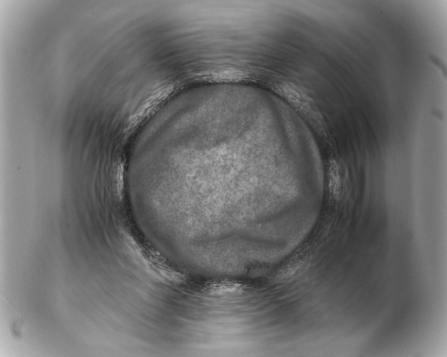 X0000102520206200808291804