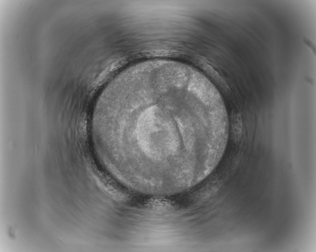 X0000102520207200808291804