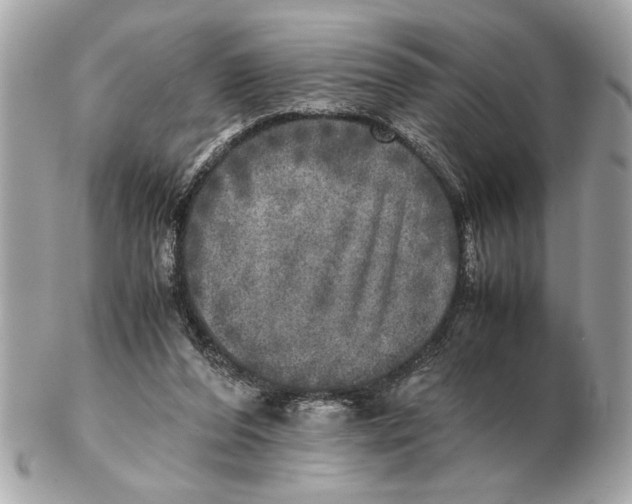 X0000102520208200808291804