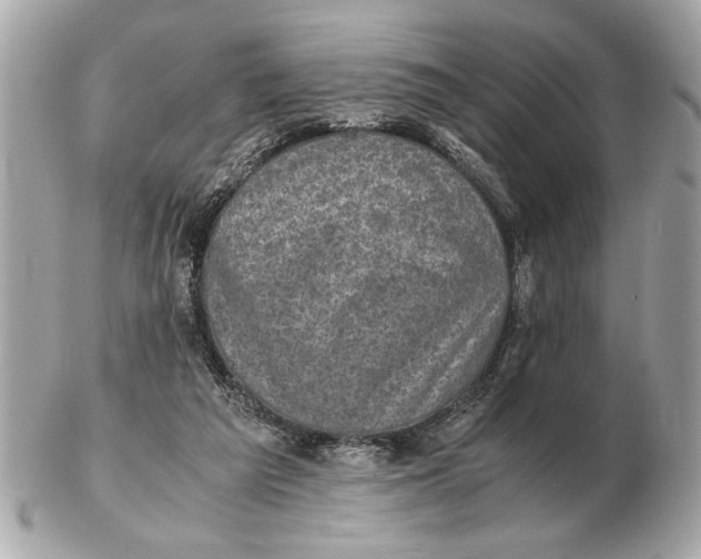 X0000102520209200808291804