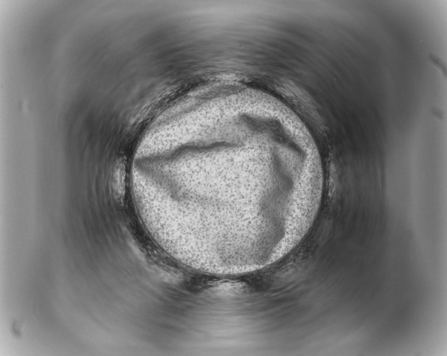 X0000102520210200808291804